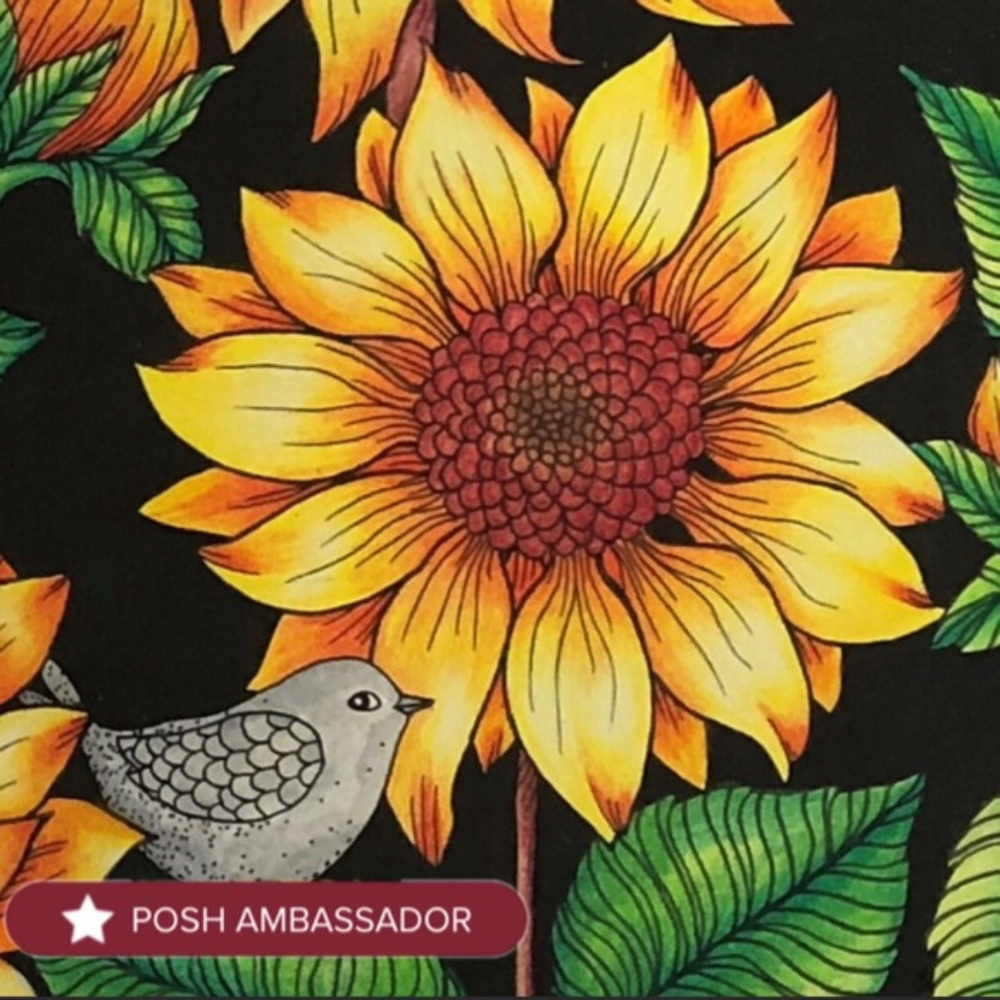 Graham House Collection - Picture 3 of 4